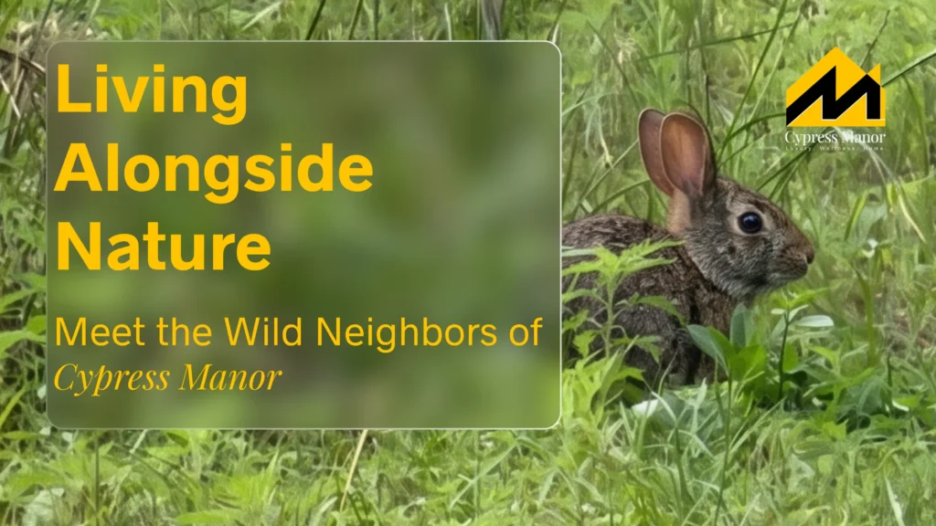 Cypress side townhouses - Living Alongside Nature